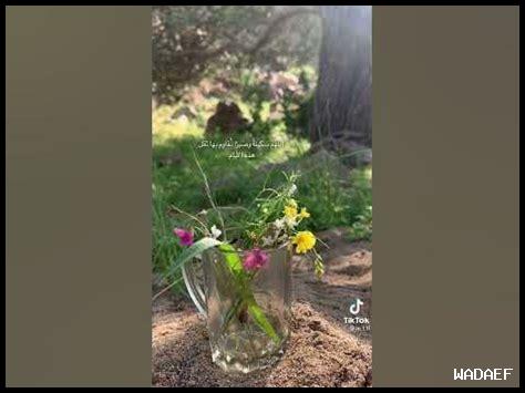 – هل السخاء يزيل الحزن