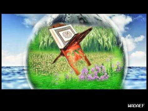 آيات الرحمة في الدعاء آيات الرحمة في الدعاء