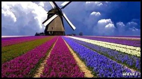 أفضل الأماكن للتصدق