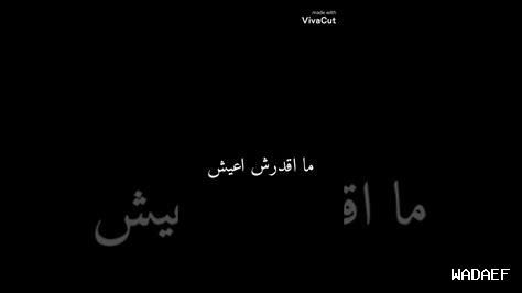 كيف أظهر حب الصحابة كيف أظهر حب الصحابة