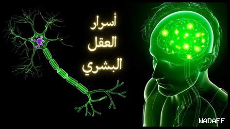 كيف الطبيعة تؤثر على العقل كيف الطبيعة تؤثر على العقل
