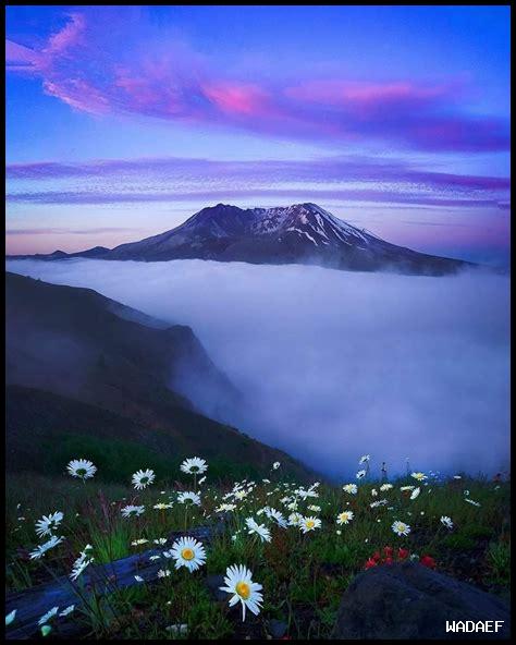 كيف الطبيعة تزرع الطمأنينة كيف الطبيعة تزرع الطمأنينة