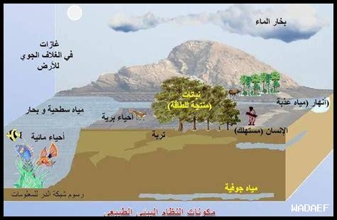 كيف تؤثر البيئة الصحراوية كيف تؤثر البيئة الصحراوية