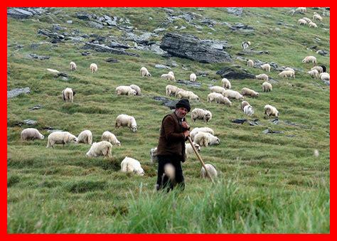 كيف نتفادى الرياء كيف نتفادى الرياء