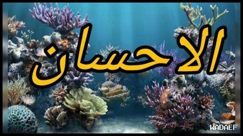 كيف نطور الإحسان كيف نطور الإحسان