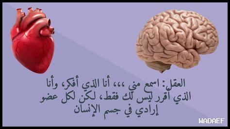 كيف يربط التوازن بين العقل والجسم