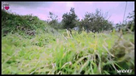 كيف يساعد الأمل في الصعوبات