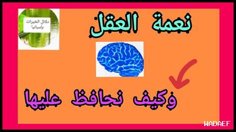 كيف يعزز العقل المتفتح الاستدامة كيف يعزز العقل المتفتح الاستدامة