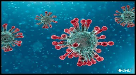 كيف يمكن للصداقة أن تكون علاجاً