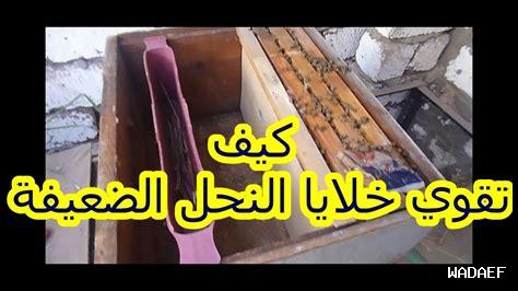 كيفية تحسين الخشوع في النوافل كيفية تحسين الخشوع في النوافل