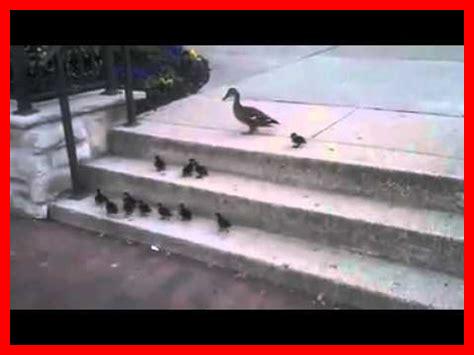 كيفية تنمية الإصرار كيفية تنمية الإصرار