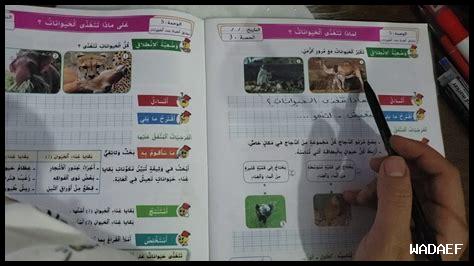 لماذا التعلم يجدد النشاط