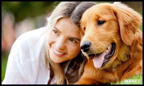 لماذا يحب الناس العمل الدؤوب