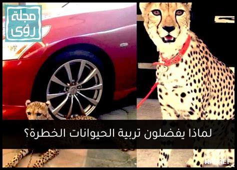 لماذا يفضل الناس الصدق لماذا يفضل الناس الصدق