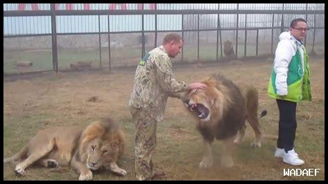 ما أهمية الشجاعة في المجتمع