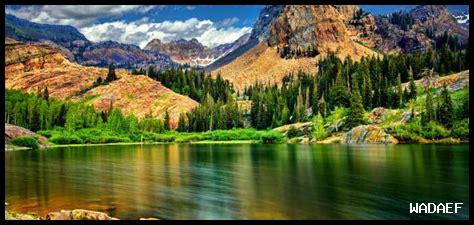 ما أهمية الطبيعة في الأدب ما أهمية الطبيعة في الأدب