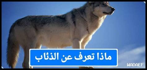 ما الذي يجعل حياتي فريدة