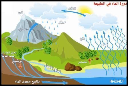 ما المفهوم وراء الحياة المغامرة