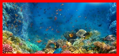 ما دور البحار في الطبيعة ما دور البحار في الطبيعة