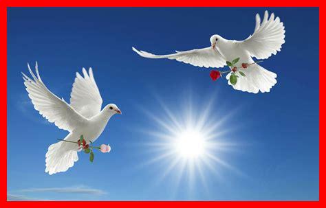 ما دور الطبيعة في السلام ما دور الطبيعة في السلام