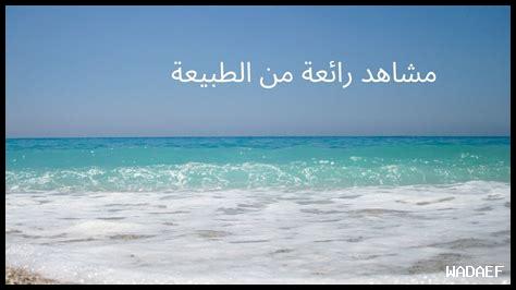 ما دور الطبيعة في السلام ما دور الطبيعة في السلام