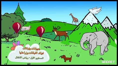 ما فوائد التأمل بين الأشجار