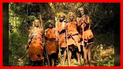 ما هو أثر الغابات المطيرة ما هو أثر الغابات المطيرة