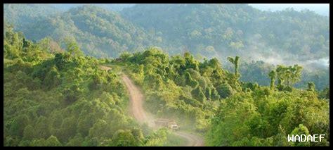 ما هو أثر الغابات المطيرة ما هو أثر الغابات المطيرة