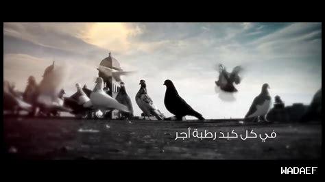 ما هو الهدف من آيات الرحمة ما هو الهدف من آيات الرحمة