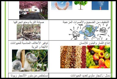 ما هو تأثير الأشجار على الهدوء