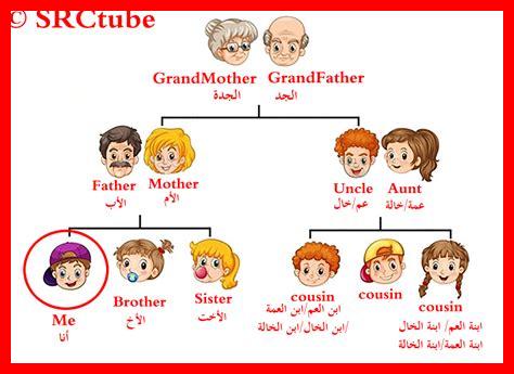 ما هو دور العائلة؟ ما هو دور العائلة؟