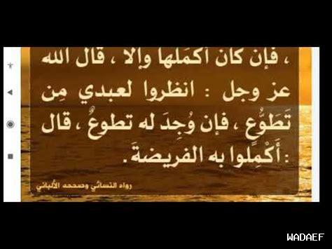 ما هو فضل النوافل الرواتب