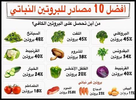 ما هي أهمية البروتين للرياضيين