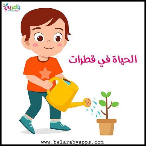 ما هي أهمية الماء في الطبيعة