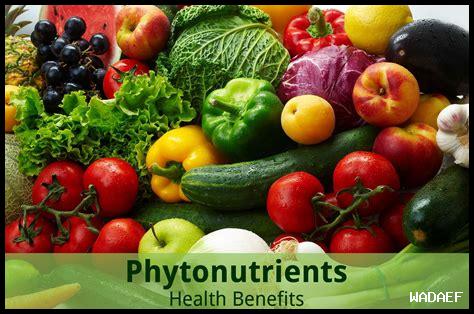 ما هي الأطعمة المضادة للأكسدة