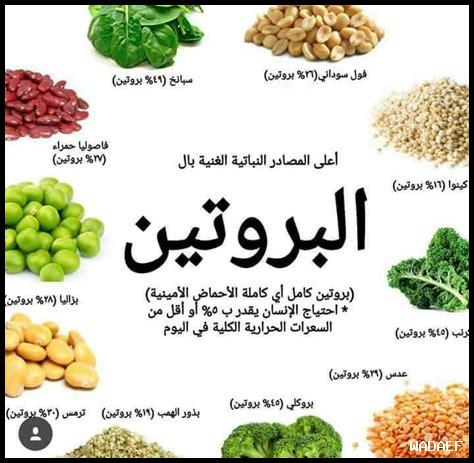 ما هي بدائل البروتين للحساسية