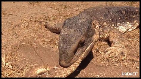 ما هي عجائب الطبيعة