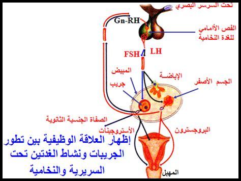 ماهي العلاقة بين الابتسامة والتميز