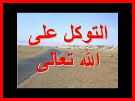 مبادئ حسن التوكل مبادئ حسن التوكل