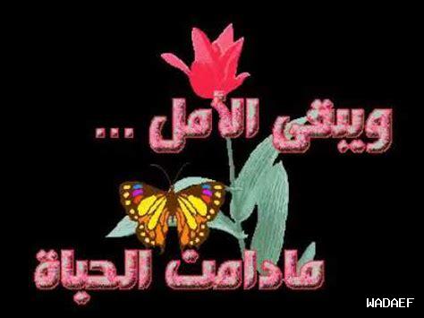 هل الأمل دائم هل الأمل دائم