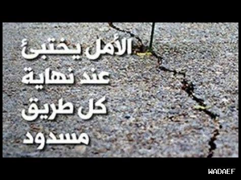 هل الأمل وسيلة للبقاء