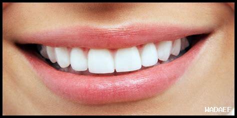 هل الابتسامة تعزز التواصل هل الابتسامة تعزز التواصل