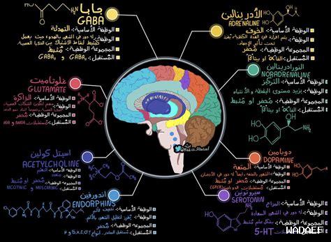 هل الحب الحقيقي أبدي هل الحب الحقيقي أبدي