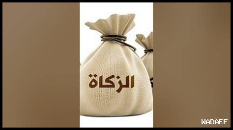 هل زكاة المال تزيد العبادة هل زكاة المال تزيد العبادة