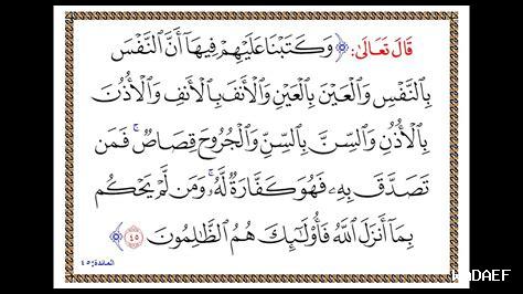 هل كلما تقدمنا في السن زدنا حكمة؟ هل كلما تقدمنا في السن زدنا حكمة؟