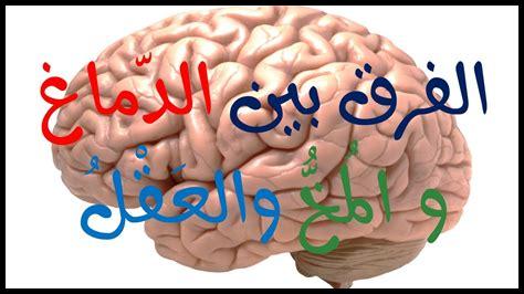 هل للعقل السليم حدود هل للعقل السليم حدود