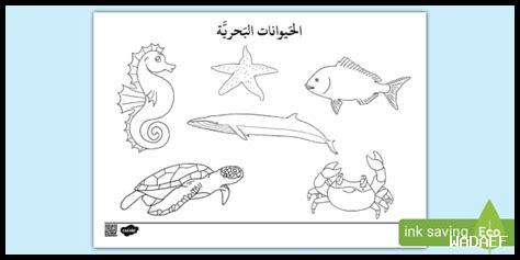 هل يعيش الإنسان بحرية