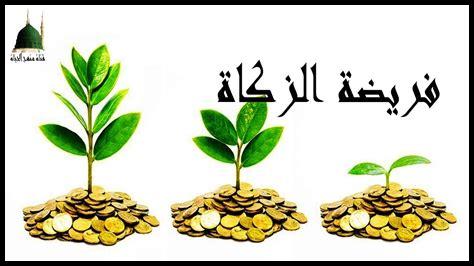 هل يمكن أن تكون زكاة المال غير نقدية هل يمكن أن تكون زكاة المال غير نقدية